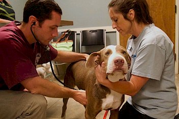 Melton Veterinary Hospital in Bastrop, LA